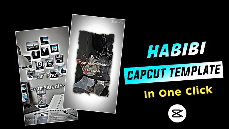 Habibi CapCut (Direct Link) Template 2024